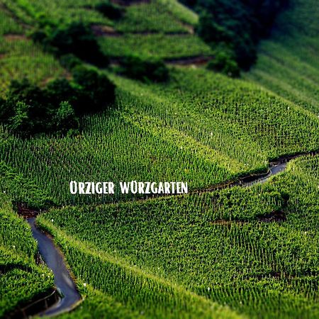 Apartment Weingut Dr Hermann I Erden Kültér fotó